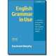 ENGLISH GRAMMAR IN USE (THIRD EDITION)